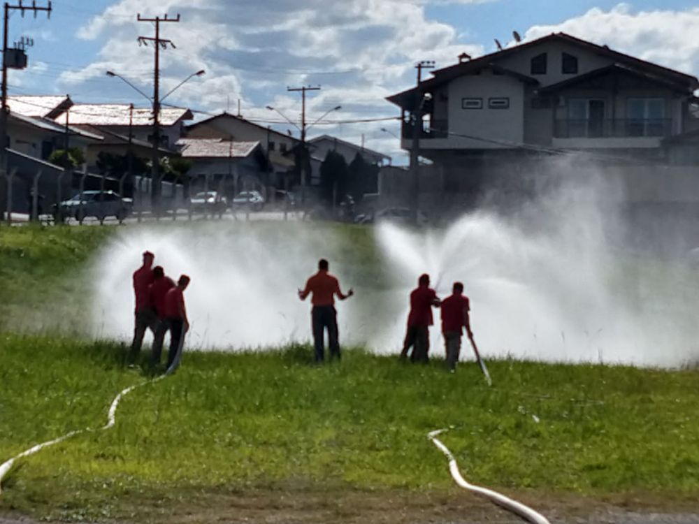 6dau5iw95xkq_ZEN 2020 (4).jpg